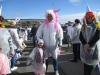 pust_19_20_162