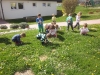 ZeV_BeI4_29