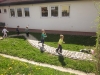ZeV_BeI4_31