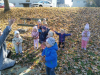 IMG_20241105_105910