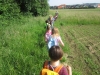 zev_rji_4_1516_12